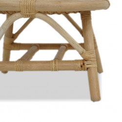 Julia Kid Rattan Chair With Cushion