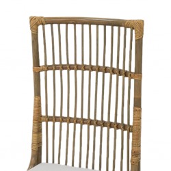 Bold Rattan Chair