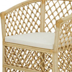 Accent Rattan Chair