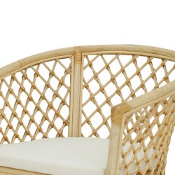 Accent Rattan Chair