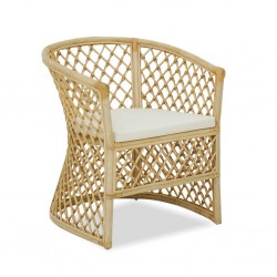 Accent Rattan Chair