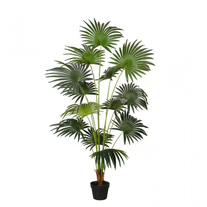 Faux Plant 180 cm Fan Palm Tree 7" Pot