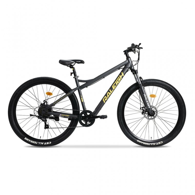 Raleigh Assisteb-23 29" Electric Bike