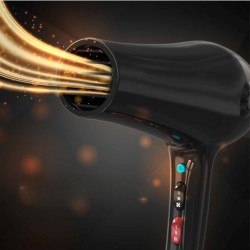 Wahl 3026984 Pro Style Power PIK Hair Dryer "O"