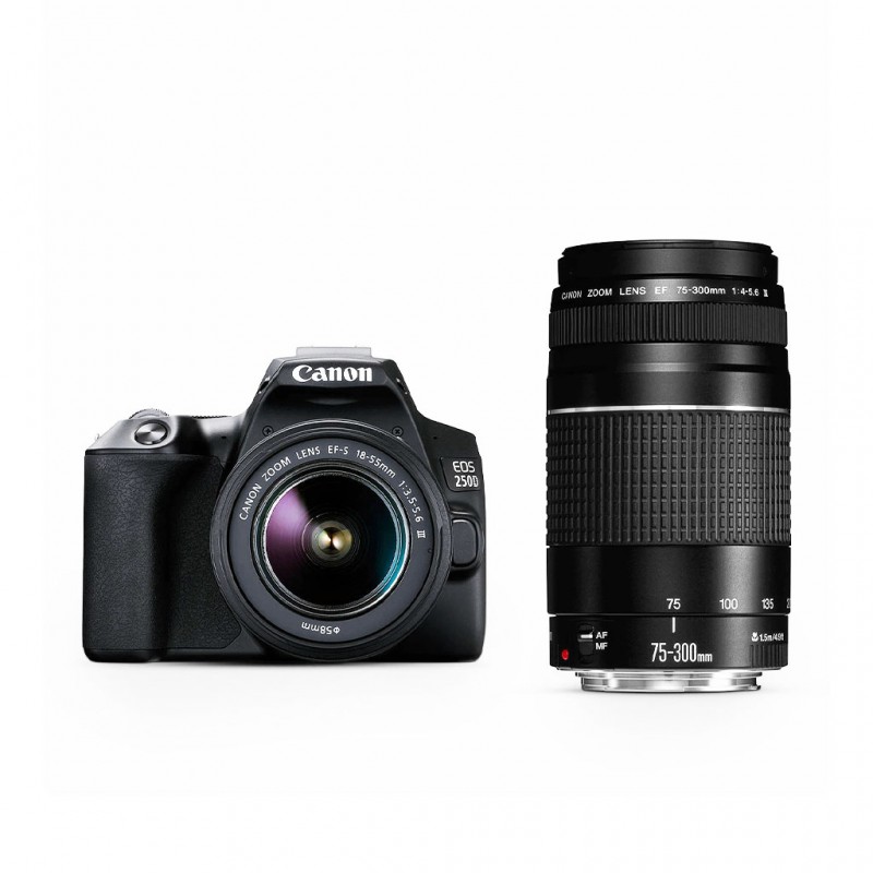 Canon EOS 250D (24 MP) Essential Double Lens Kit