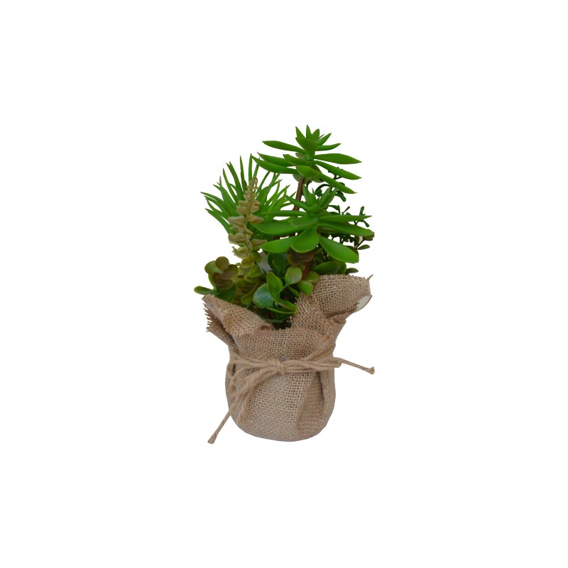 Flower with Pot 23cm