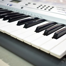 Casio CTK230 Standard Keyboard