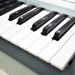 Casio CTK230 Standard Keyboard