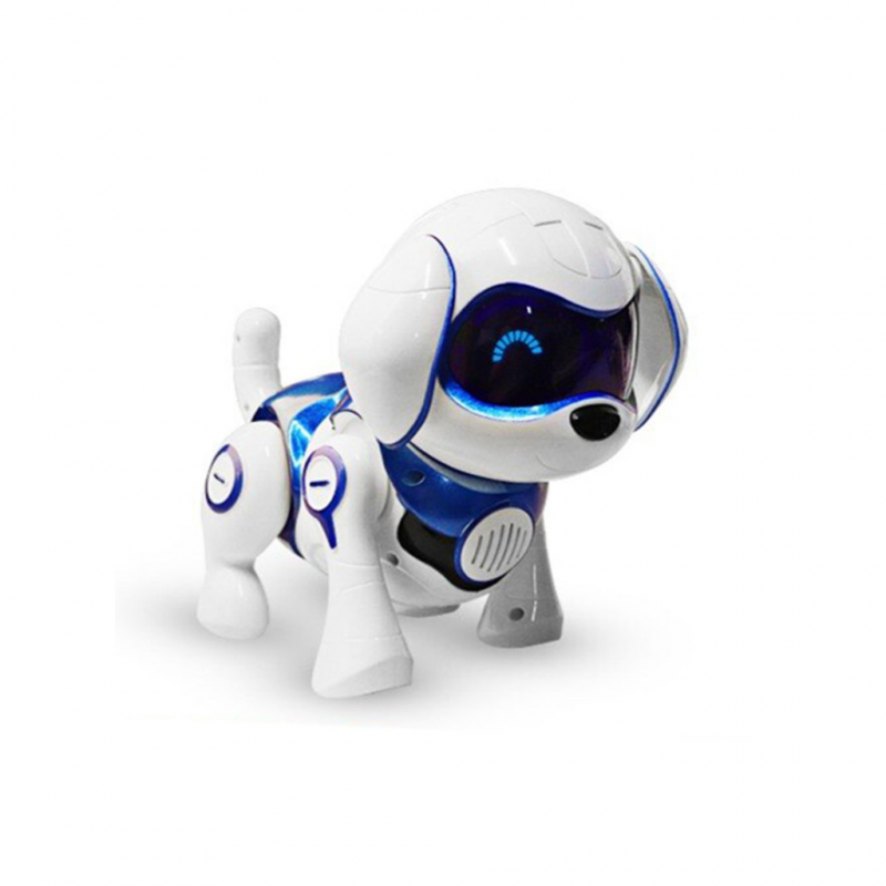 Rock store robot dog