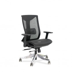 Stellar Cosmos Lower back Office Chair Black