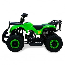 Easy One Hunter 49cc Green ATV